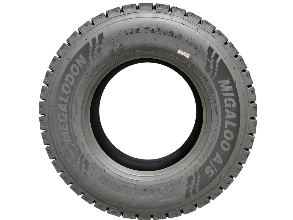 Megalodon MIGALOO RS commercial truck tire